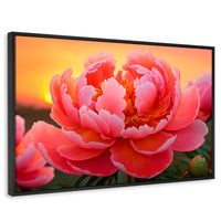 Cuadros Decorativos Canvas Revolution | Peonia Rosa Eterno | Rectangular | Portada | Marco Negro