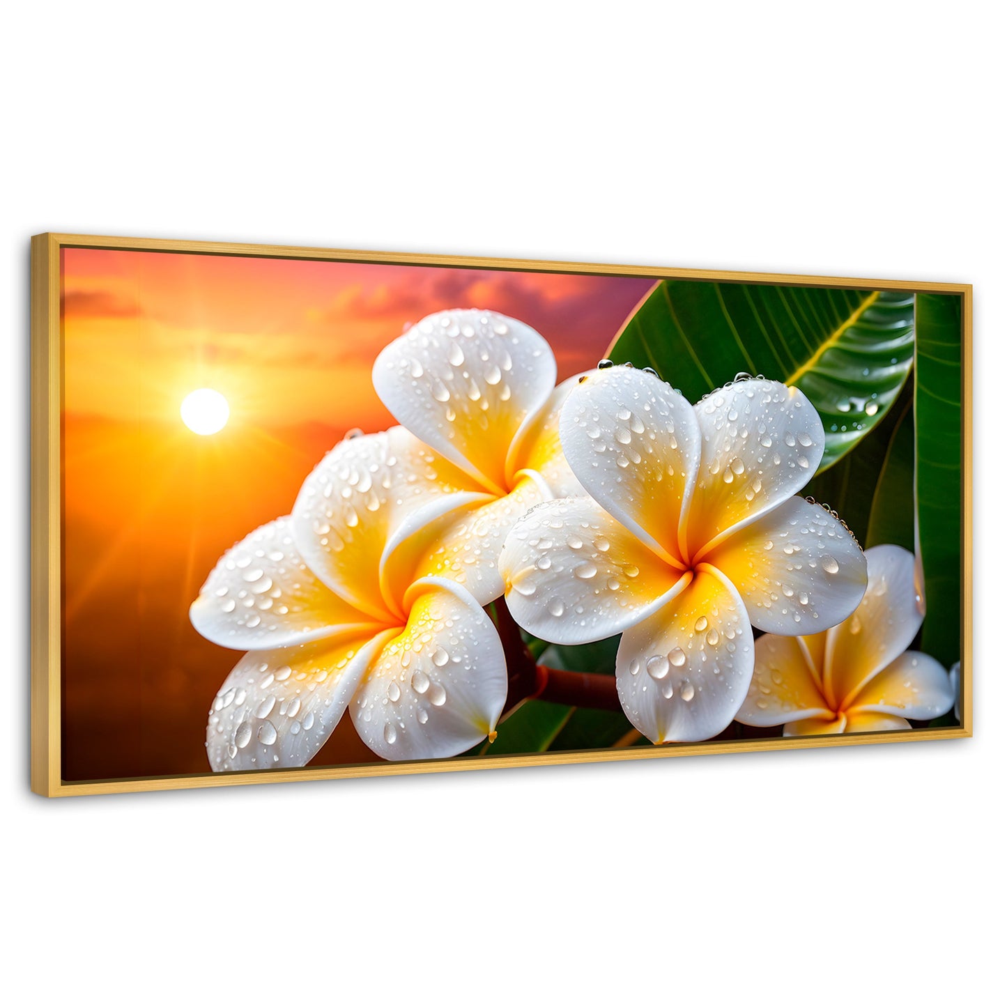 Cuadros Decorativos Canvas Revolution | Plumeria Luz Serena | Panoramico | Portada | Marco Dorado