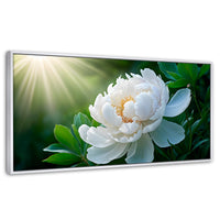 Cuadros Decorativos Canvas Revolution | Rayos De Peonia | Panoramico | Portada | Marco Blanco
