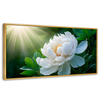 Cuadros Decorativos Canvas Revolution | Rayos De Peonia | Panoramico | Portada | Marco Dorado