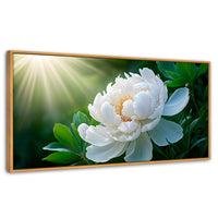 Cuadros Decorativos Canvas Revolution | Rayos De Peonia | Panoramico | Portada | Marco Madera