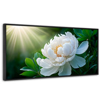 Cuadros Decorativos Canvas Revolution | Rayos De Peonia | Panoramico | Portada | Marco Negro