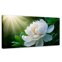 Cuadros Decorativos Canvas Revolution | Rayos De Peonia | Panoramico | Portada | Marco SinMarco