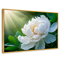 Cuadros Decorativos Canvas Revolution | Rayos De Peonia | Rectangular | Portada | Marco Dorado