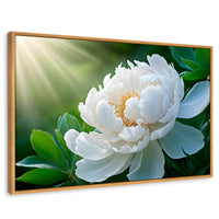 Cuadros Decorativos Canvas Revolution | Rayos De Peonia | Rectangular | Portada | Marco Madera