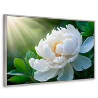 Cuadros Decorativos Canvas Revolution | Rayos De Peonia | Rectangular | Portada | Marco Plateado