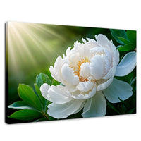 Cuadros Decorativos Canvas Revolution | Rayos De Peonia | Rectangular | Portada | Marco SinMarco