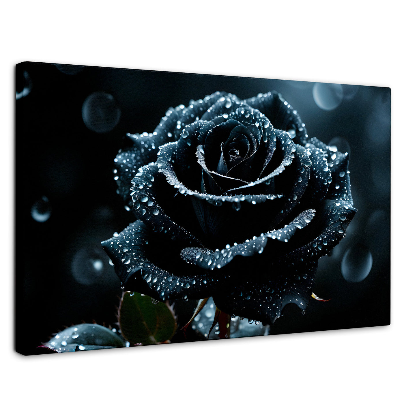 Cuadros Decorativos Canvas Revolution | Rosa Negra Poderosa | Rectangular | Portada | Marco SinMarco