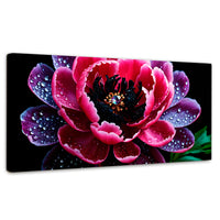 Cuadros Decorativos Canvas Revolution | Rosa Purpura Eterna | Panoramico | Portada | Marco SinMarco