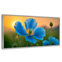 Cuadros Decorativos Canvas Revolution | Sueno De Amapolas | Panoramico | Portada