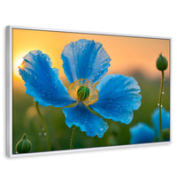 Cuadros Decorativos Canvas Revolution | Sueno De Amapolas | Rectangular | Portada