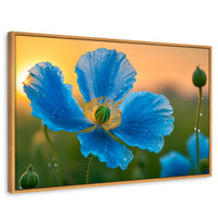 Cuadros Decorativos Canvas Revolution | Sueno De Amapolas | Rectangular | Portada