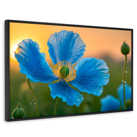 Cuadros Decorativos Canvas Revolution | Sueno De Amapolas | Rectangular | Portada