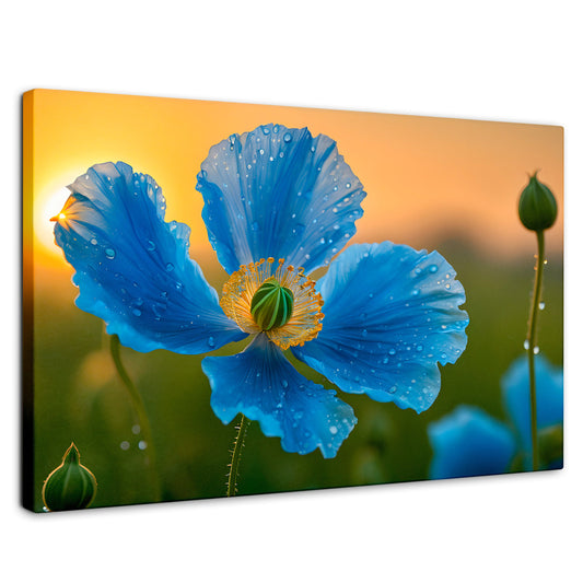 Cuadros Decorativos Canvas Revolution | Sueno De Amapolas | Rectangular | Portada