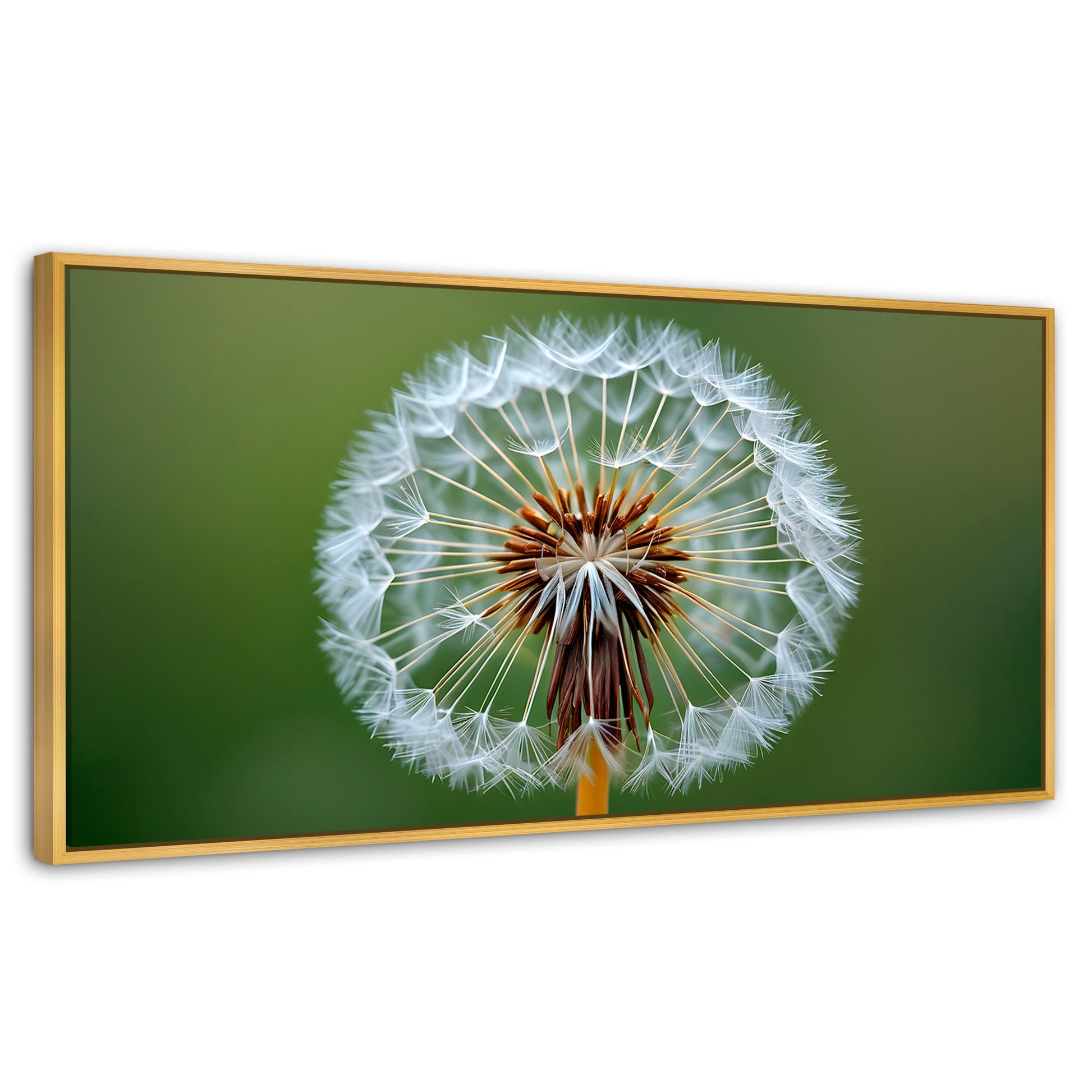 Cuadros Decorativos Canvas Revolution | Sueno En Vuelo | Panoramico | Portada | Marco Dorado