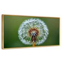 Cuadros Decorativos Canvas Revolution | Sueno En Vuelo | Panoramico | Portada | Marco Dorado