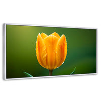 Cuadros Decorativos Canvas Revolution | Tulipan En Verde | Panoramico | Portada | Marco Blanco