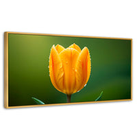 Cuadros Decorativos Canvas Revolution | Tulipan En Verde | Panoramico | Portada | Marco Dorado