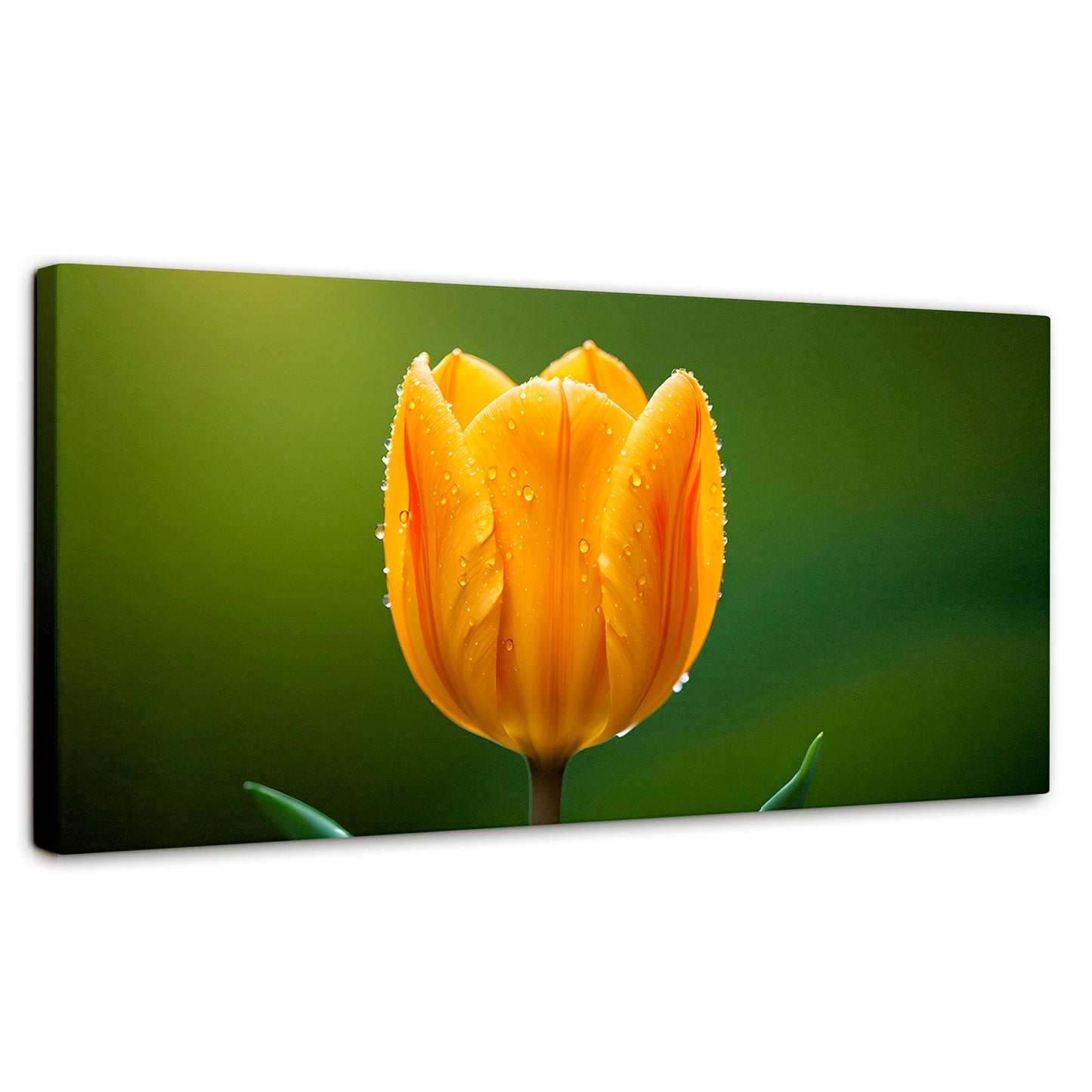 Cuadros Decorativos Canvas Revolution | Tulipan En Verde | Panoramico | Portada | Marco SinMarco