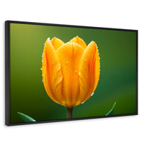Cuadros Decorativos Canvas Revolution | Tulipan En Verde | Rectangular | Portada | Marco Negro