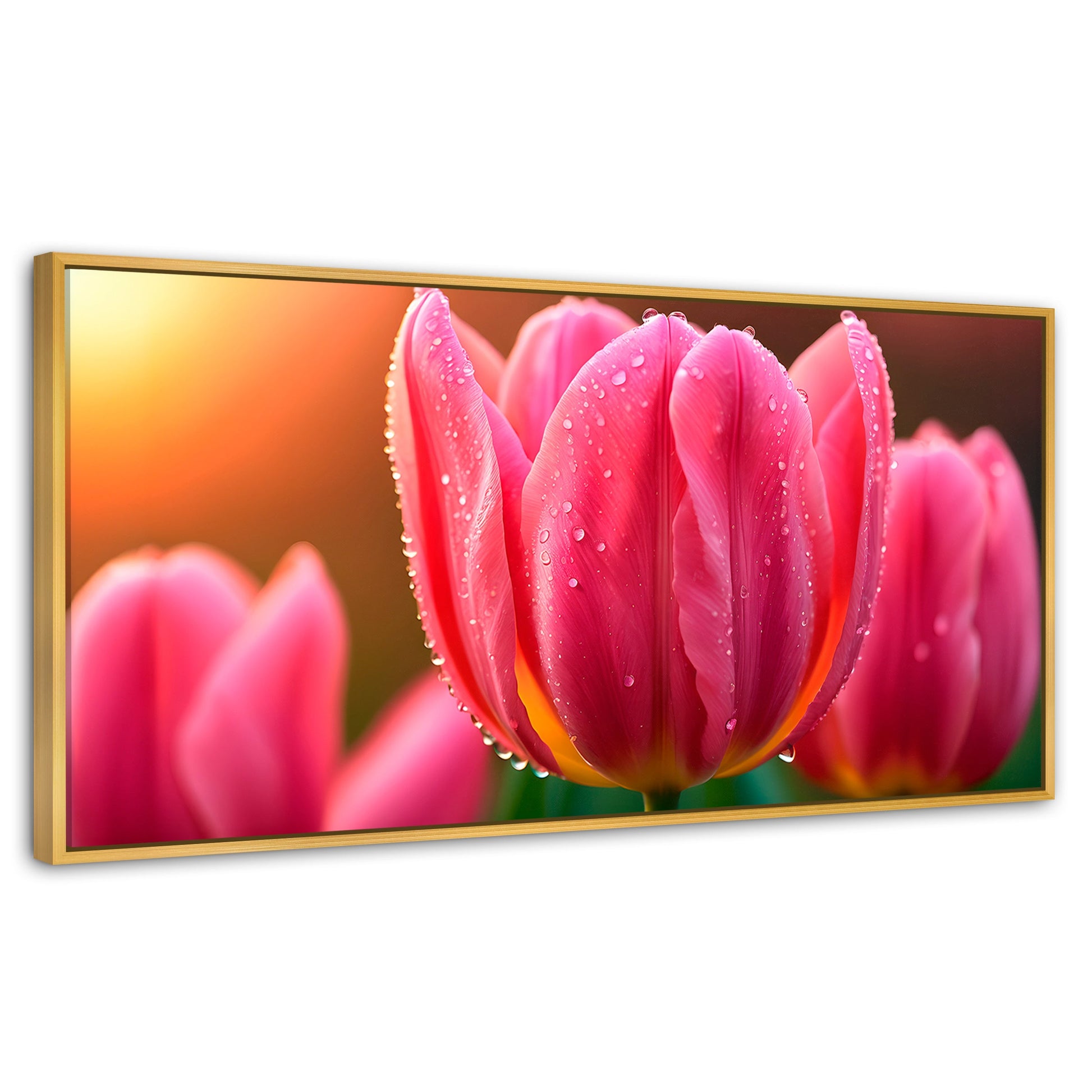 Cuadros Decorativos Canvas Revolution | Tulipan Rosa Eterno | Panoramico | Portada | Marco Dorado