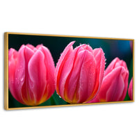 Cuadros Decorativos Canvas Revolution | Tulipanes Rosa Vivo | Panoramico | Portada | Marco Dorado