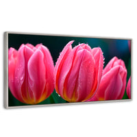 Cuadros Decorativos Canvas Revolution | Tulipanes Rosa Vivo | Panoramico | Portada | Marco Plateado