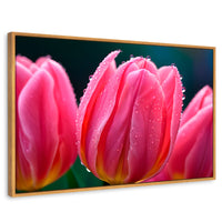 Cuadros Decorativos Canvas Revolution | Tulipanes Rosa Vivo | Rectangular | Portada | Marco Madera