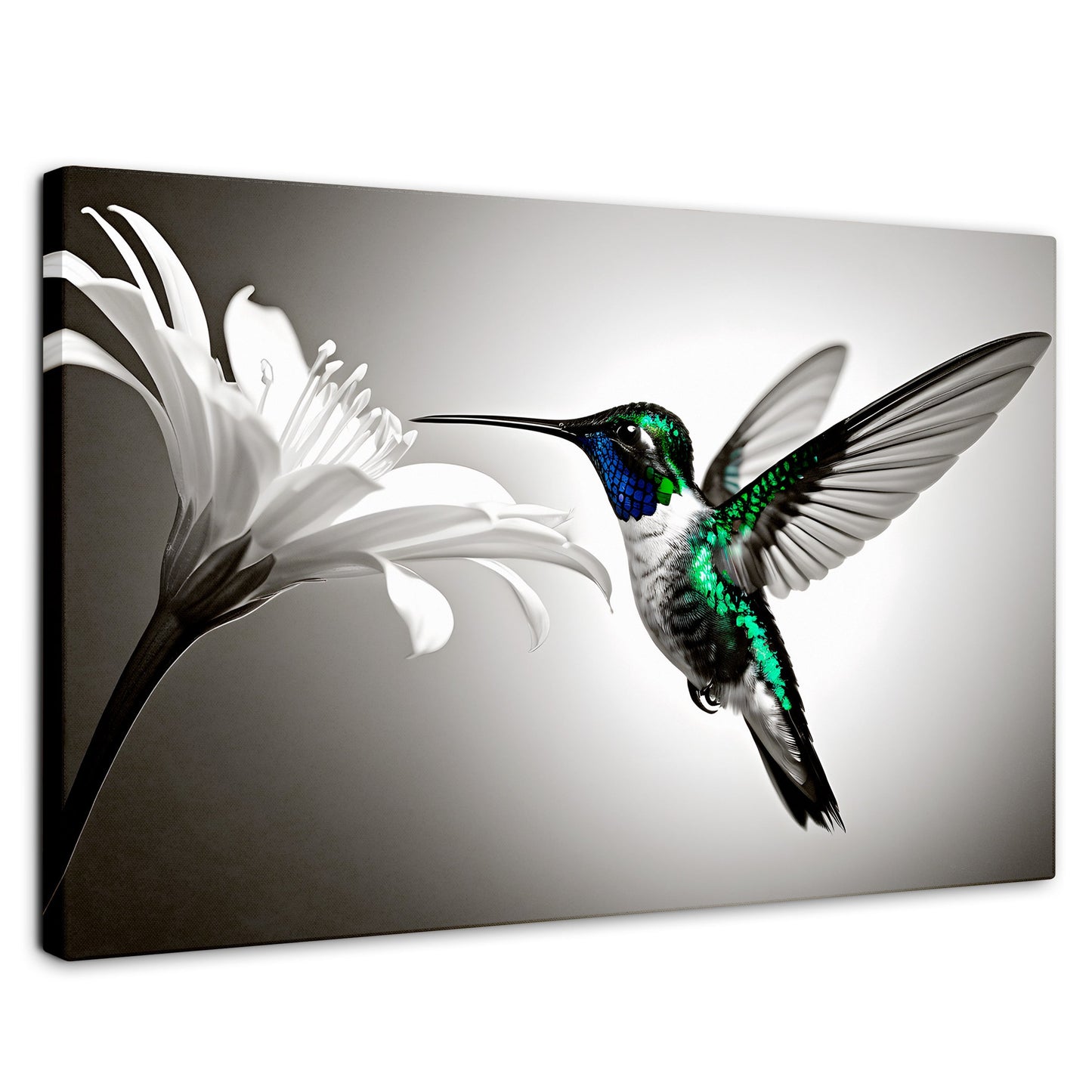 Cuadros Decorativos Canvas Revolution | Verde En Vuelo | Rectangular | Portada | Marco SinMarco