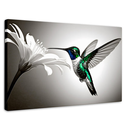 Cuadros Decorativos Canvas Revolution | Verde En Vuelo | Rectangular | Portada | Marco SinMarco