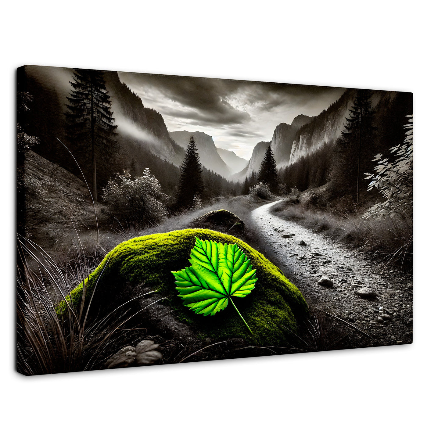Cuadros Decorativos Canvas Revolution | Verde Silencio | Rectangular | Portada | Marco SinMarco