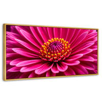 Cuadros Decorativos Canvas Revolution | Zinnia Magia Rosa | Panoramico | Portada | Marco Dorado