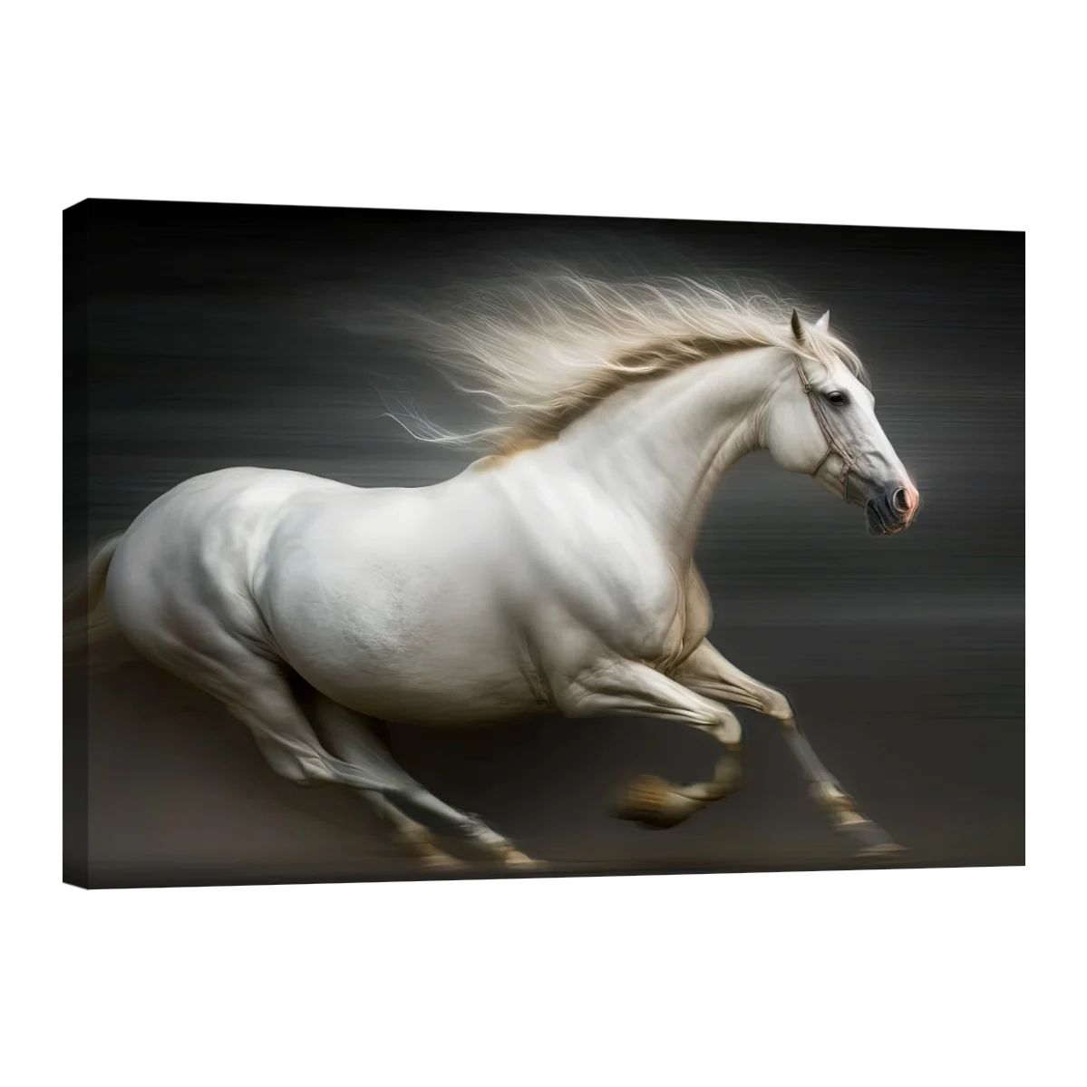 Galope de Libertad