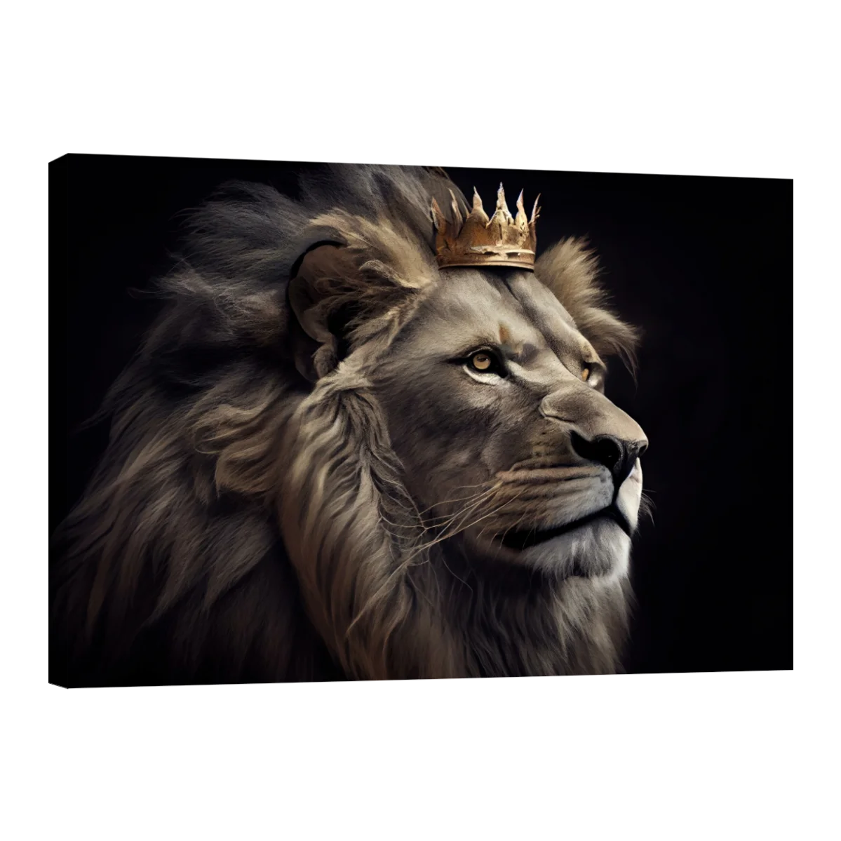 El Rey de la Selva