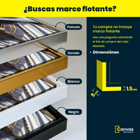 Ojos de Princesa Árabe