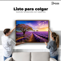 Cuadro Decorativo Lavanda Atardecer - Colgar