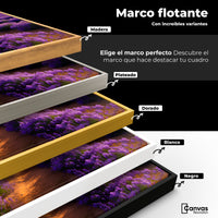 Cuadro Decorativo Lavanda Atardecer - Colores Marco