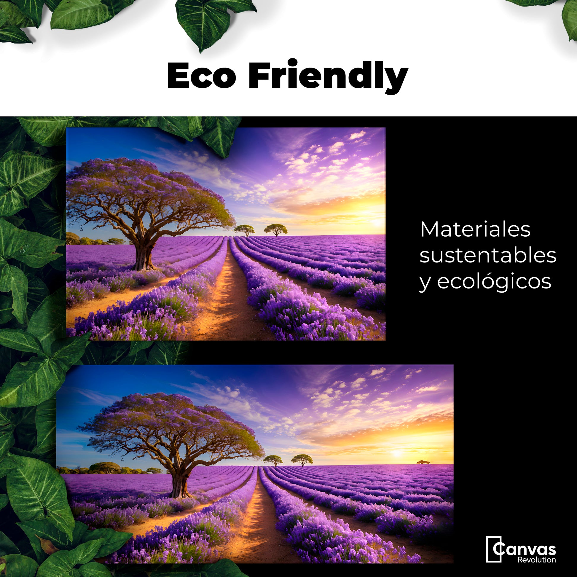 Cuadro Decorativo Lavanda Atardecer - Eco Friendly