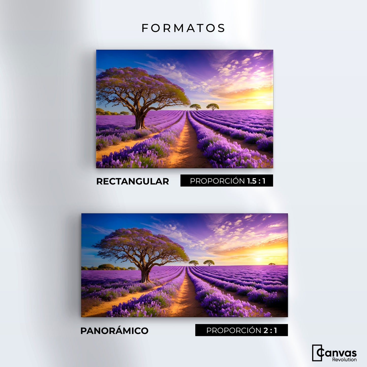 Cuadro Decorativo Lavanda Atardecer - Formatos