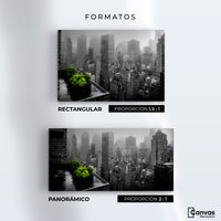 Cuadro Decorativo Ciudad Niebla Gris - Formatos