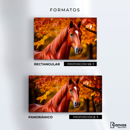Cuadro Decorativo Luz Caballo Otoñal - Formatos