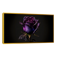 Rosa Violeta