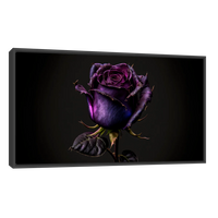 Rosa Violeta