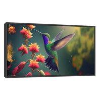 Colibrí Tropical