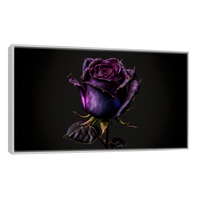 Rosa Violeta