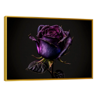 Rosa Violeta