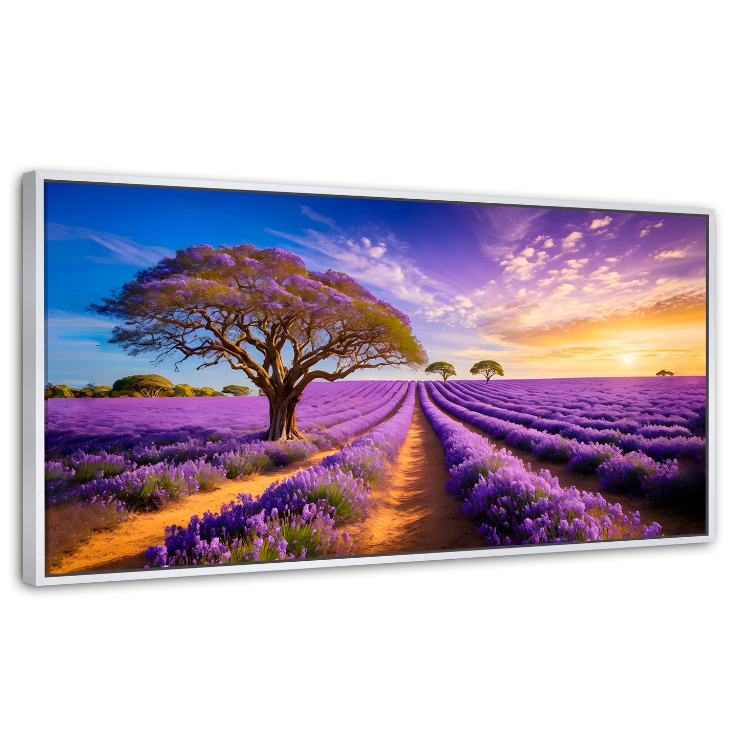 Cuadros Decorativos Canvas Revolution | Cuadro Decorativo Lavanda Atardecer | Panorámico | Marco Dorado