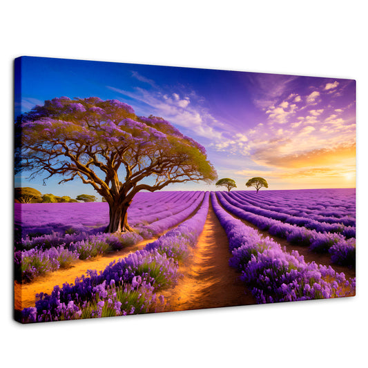 Cuadros Decorativos Canvas Revolution | Cuadro Decorativo Lavanda Atardecer | Rectangular | Marco Sin Marco
