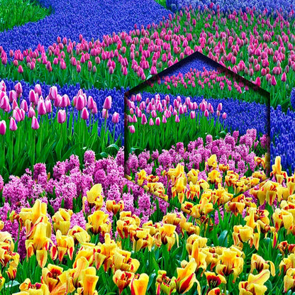 Flores En El Campo