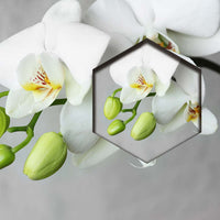 Flores Orquidea